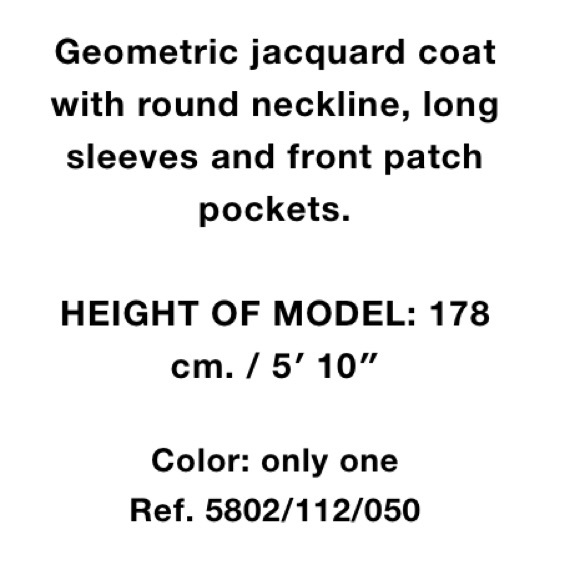 Zara long geometric jacquard coat- Host Pick! - Picture 5 of 8